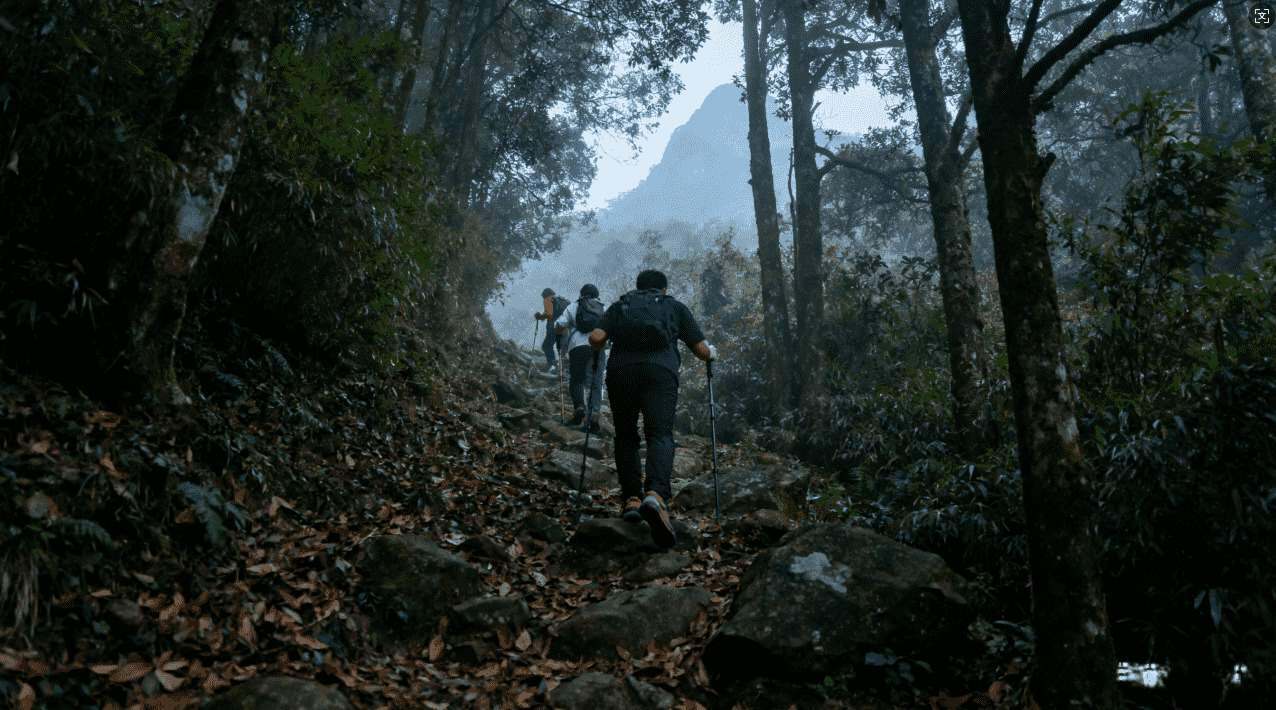 微博旋风加速器全面解析：快速畅享网络新体验